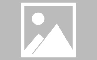 儋州濮阳社交网站制作公司（濮阳社交网站制作公司电话）